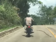 У Таїланді змія намагалася вкусити мотоцикліста прямо на повному ходу (відео)
