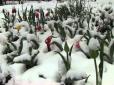 Дощі, заморозки і мокрий сніг: В Україну заходить новий циклон