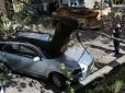 Не врятувала і платна стоянка: У центрі Львова на авто нардепа від БПП впало дерево (фотофакт)