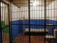 Карма: Гвалтівника-педофіла спіткали страшна розплата і смерть
