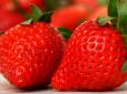 Лікарі розповіли, яка полуниця може бути небезпечною для здоров'я