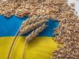 Україна, Туреччина та ООН призупинили дію 