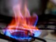 Українцю за борги відключили газ - він через суд домігся підключення та компенсації моральної шкоди на тисячі гривень