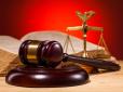 У Польщі сімох людей визнали винними в убивстві 25-річного українця